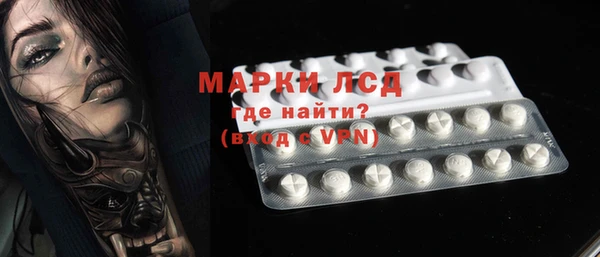 spice Аркадак