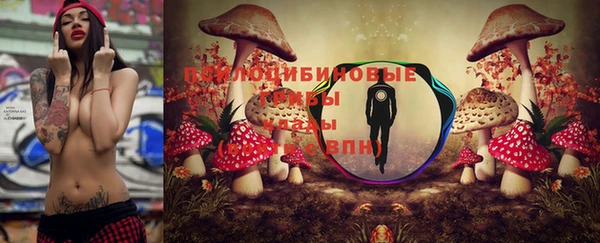 гашик Армянск