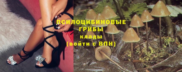 spice Аркадак