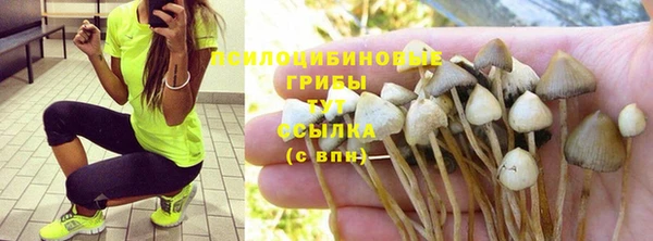 гашиш Арсеньев